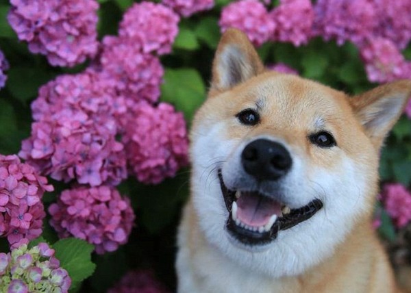 СҰ�����ɶ�������С���������