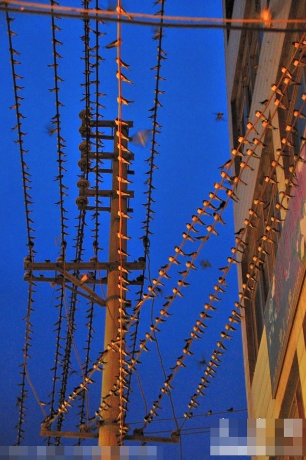 �ٶ��׳��ĵ��߲�������