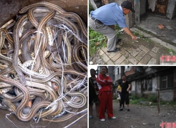 �����д�Ӫ������·�ֵ�������ͻȻӿ�ֹ�������