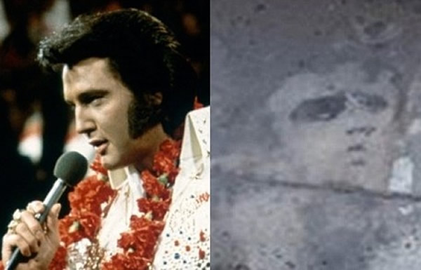 Ӣ����԰�տ�������֡�è����ͷ��