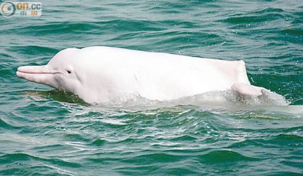 ����ɽ�����ǰ׺����û����(����ͼƬ)