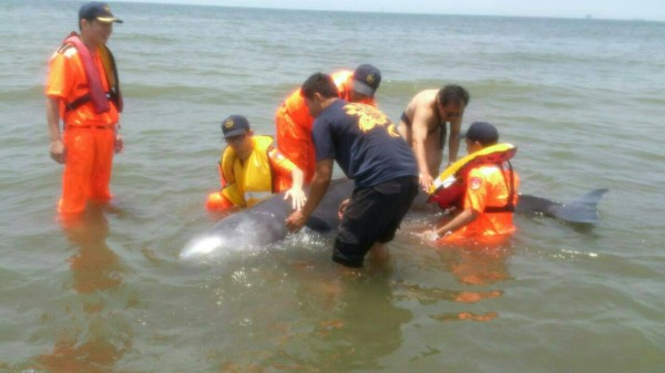 СĨ�㾨�������ߣ��޷�������