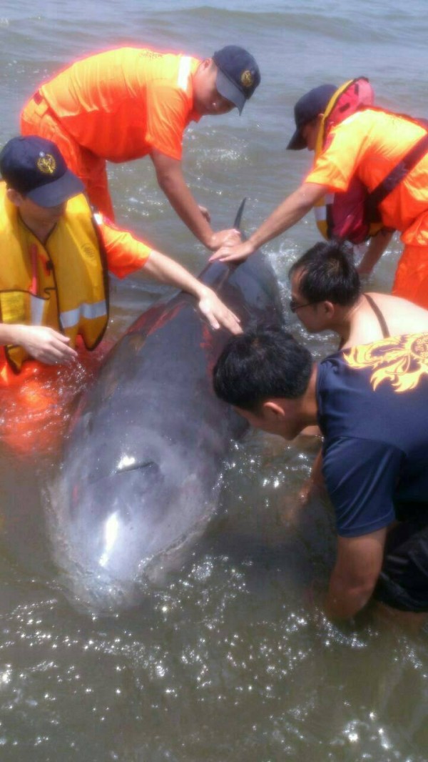 ��Ѳ��������Աһֱ��Ĩ�㾨��ˮ���¡����±��������֣�