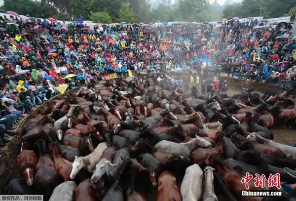 ��������ͳ��Ұ���ھ���