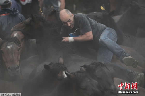 ��������ͳ��Ұ���ھ���