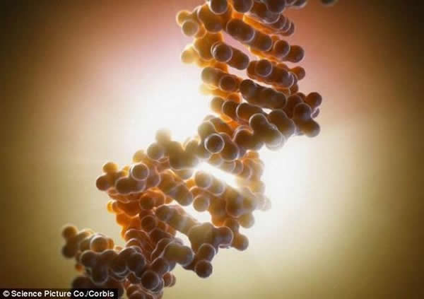 通过抑制植物“Ephmeral1”基因可以延长植物“寿命”