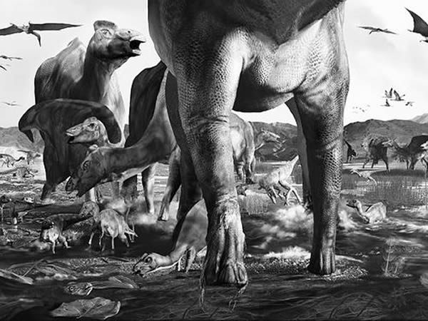 美国阿拉斯加州德纳里国家公园的恐龙化石足迹