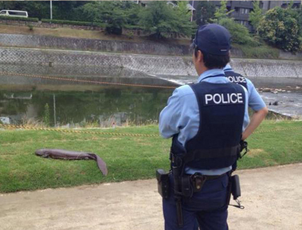 ձǧҶطܰ뵺ϲѼһԷ1.5׳