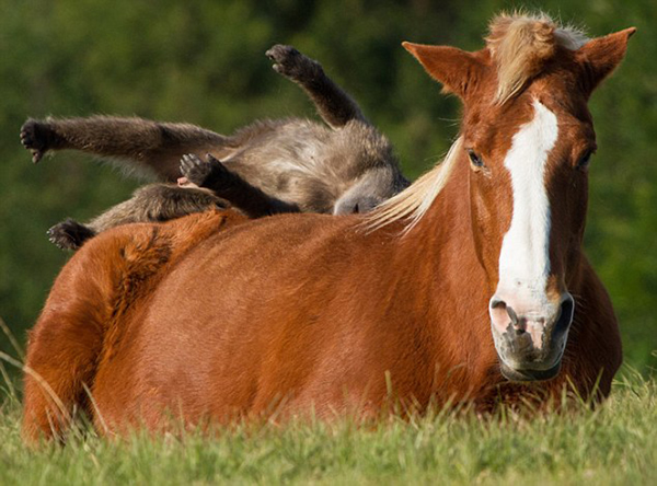 ��ֻ�����������Ϲ�����ȥ��������