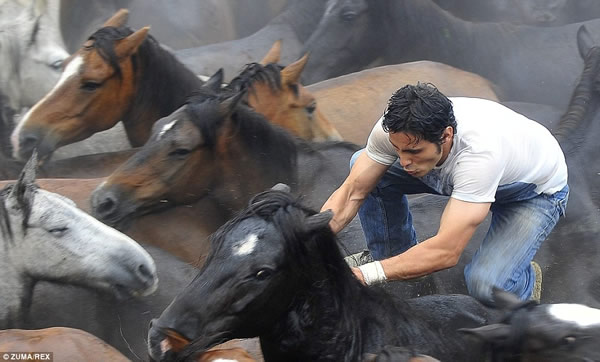 400������ʷ����������Ұ����ë��