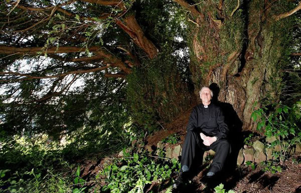 Ӣ��Ĺ�ط����������� ��������5000��