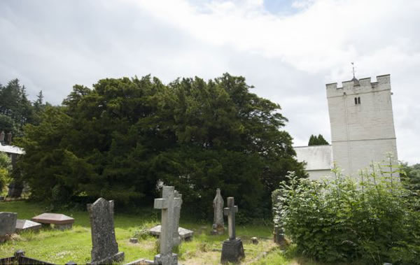 Ӣ��Ĺ�ط����������� ��������5000��