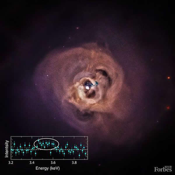 ����Ӣ������ϵ�ŵ�����X�����źŻ�֤����������Ĵ���