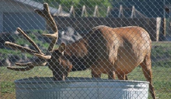 ����������ݶ���԰��¹��������