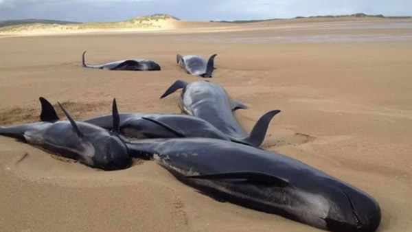 ������13���캽���ں�̲��ǳ