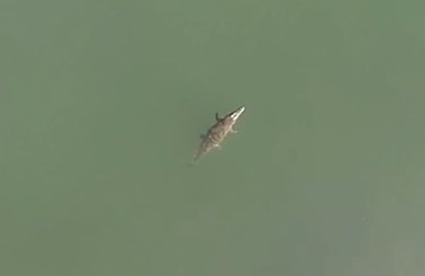 ϣ�������ص��������������ȳ�