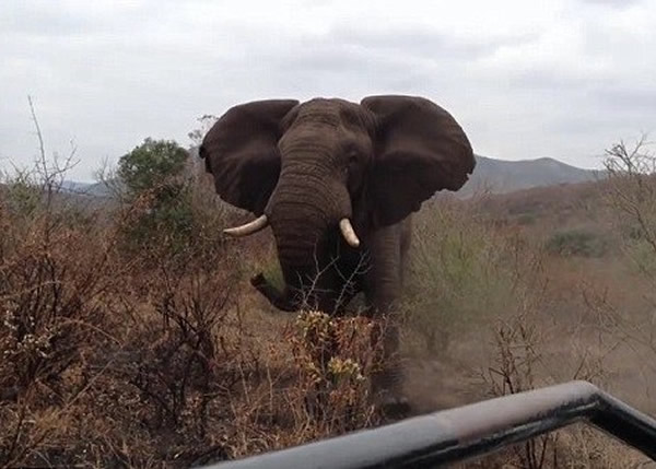 �Ϸ�Ұ������԰���Դ����鹥���οͼ��ճ�