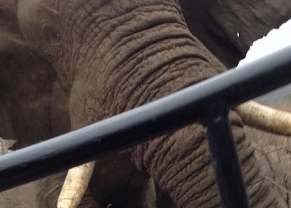 �Ϸ�Ұ������԰���Դ����鹥���οͼ��ճ�