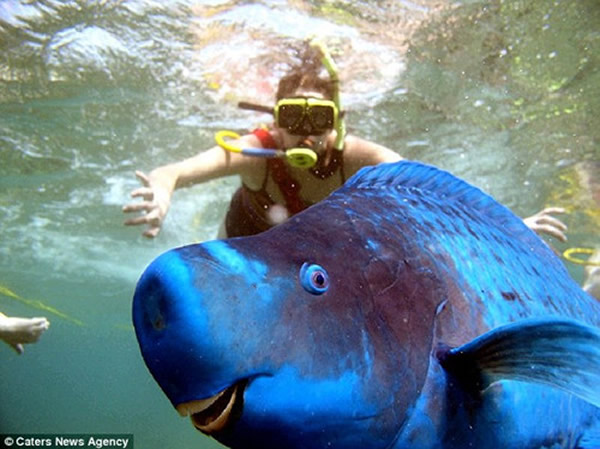 һֻ��ɫ��������ͻȻ���뻭���У�������΢Ц�ı��飬�ɹ�����