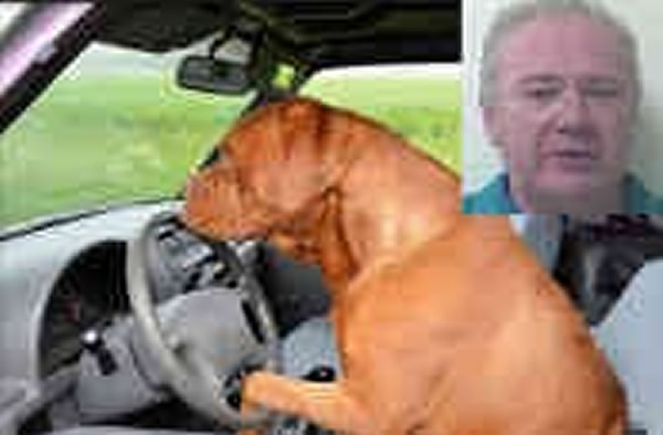 美国60岁老汉为逃酒驾谎称开车者是其宠物狗