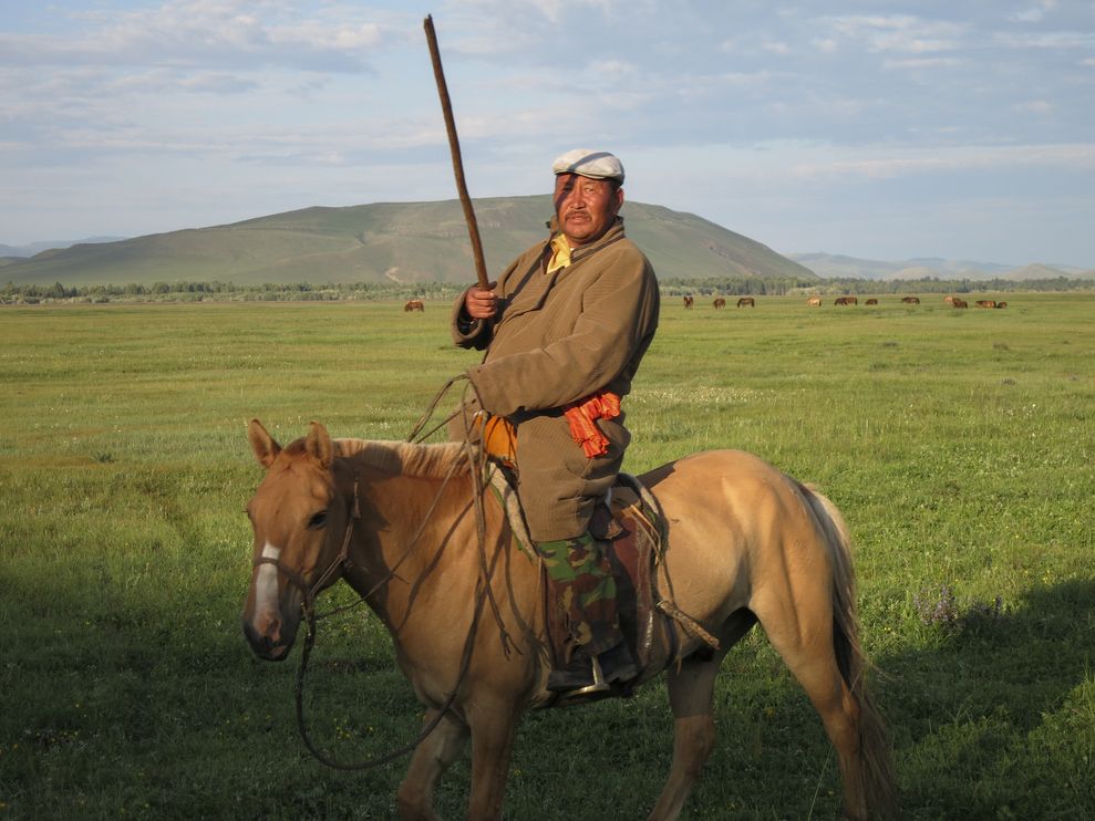 树木年轮的研究暗示:漫长的雨季成了成吉思汗侵略与征服的“秘密武器”