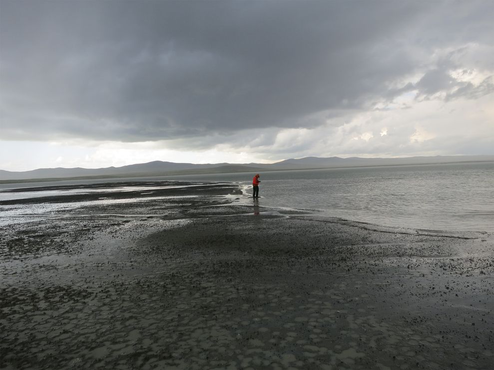 蒙古人的侵略:现代版