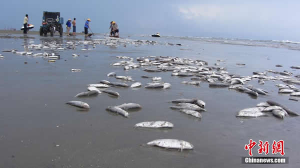 ������������ڹ������Ǹ��а���̲��������ɳ̲��