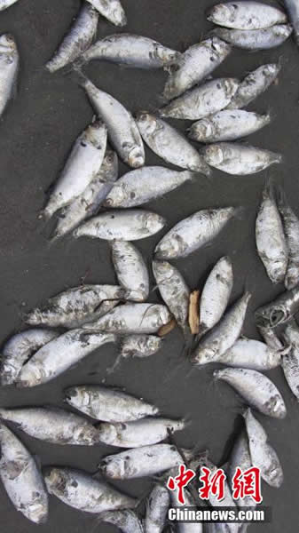 ������������ڹ������Ǹ��а���̲��������ɳ̲��