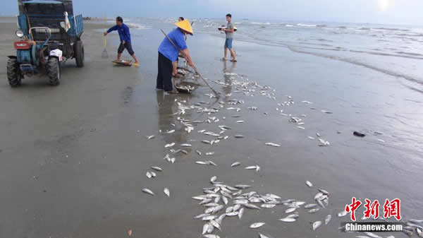 ������������ڹ������Ǹ��а���̲��������ɳ̲��