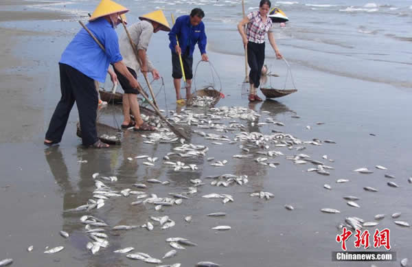 ������������ڹ������Ǹ��а���̲��������ɳ̲��