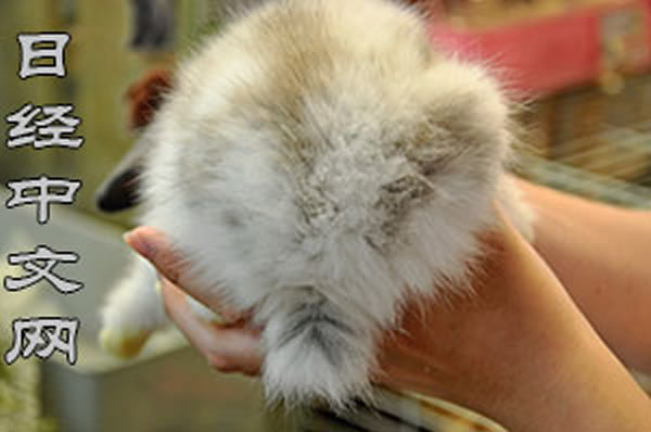 ��ë����߰�ɰ������ӵ�ƨƨ