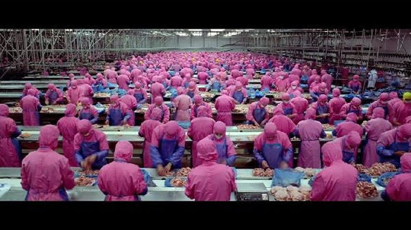 这支得奖纪录片,以沉默、冷漠、抽离、流水式地缓缓披露现在肉类食品工业的实况,让人们了解肉品生产的过程。