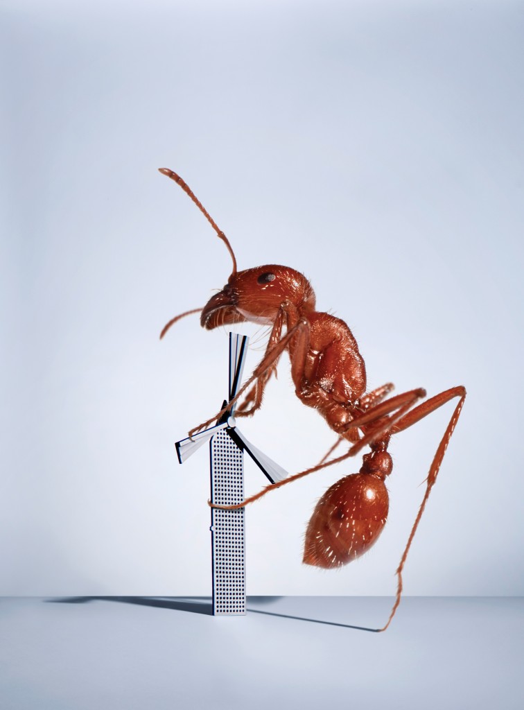 ��װ�ڽ����ϵķ�������Ϊ���㣬�����ջ�����ȶ��Ե���С������һ�������ܻ��Ϊ�ж��绰�ĵ�����Դ��Photo illustration: Adam Voorhes