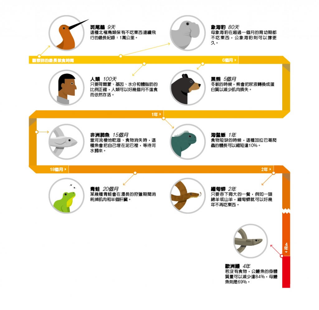 ��¶��Ķ����ǡ�