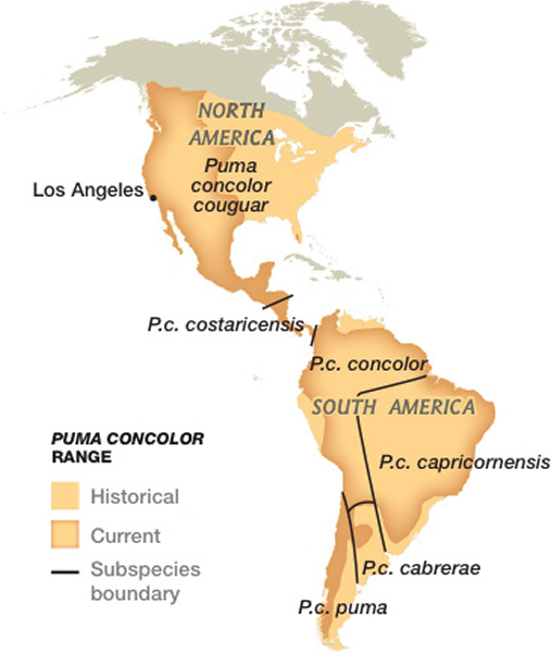 ����ʨ�����㲼��������48�ݣ�������20�������ڣ�������ʣ������ɽ����̫ƽ���ذ�ɽ�������ϲ���ƫԶ�����������ʨ��û��