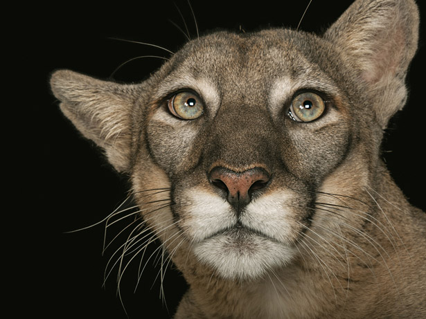 ����԰��ѡ����ҪȦ�����뿴���Ķ���������ȿ�����Ҳ�������Ķ���