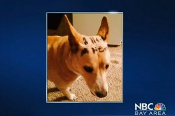 ����������ֻ�������� ��ͷд�š�����Ҫһ���ҡ�������д�š���ѡ�