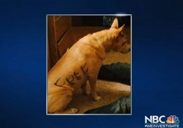 ����������ֻ�������� ��ͷд�š�����Ҫһ���ҡ�������д�š���ѡ�