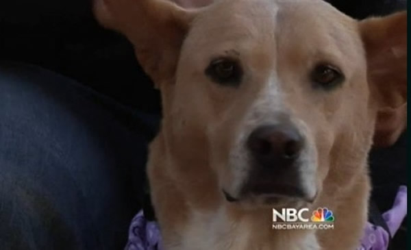 ����������ֻ�������� ��ͷд�š�����Ҫһ���ҡ�������д�š���ѡ�