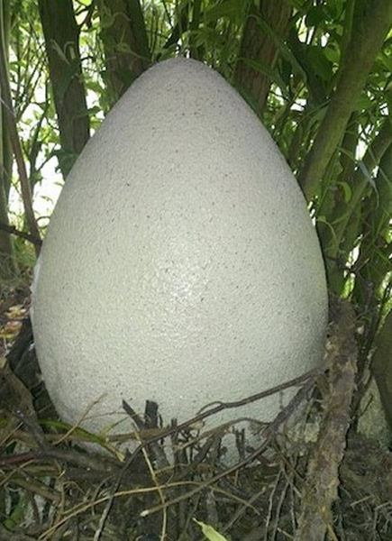 Ӣ��һ��Сѧ��̽�����ǵ����γ��ŵ�Сѧ��������ѧ