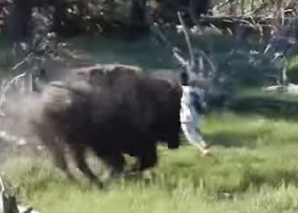 ������ʯ��԰Ұţ����׷��ͯ