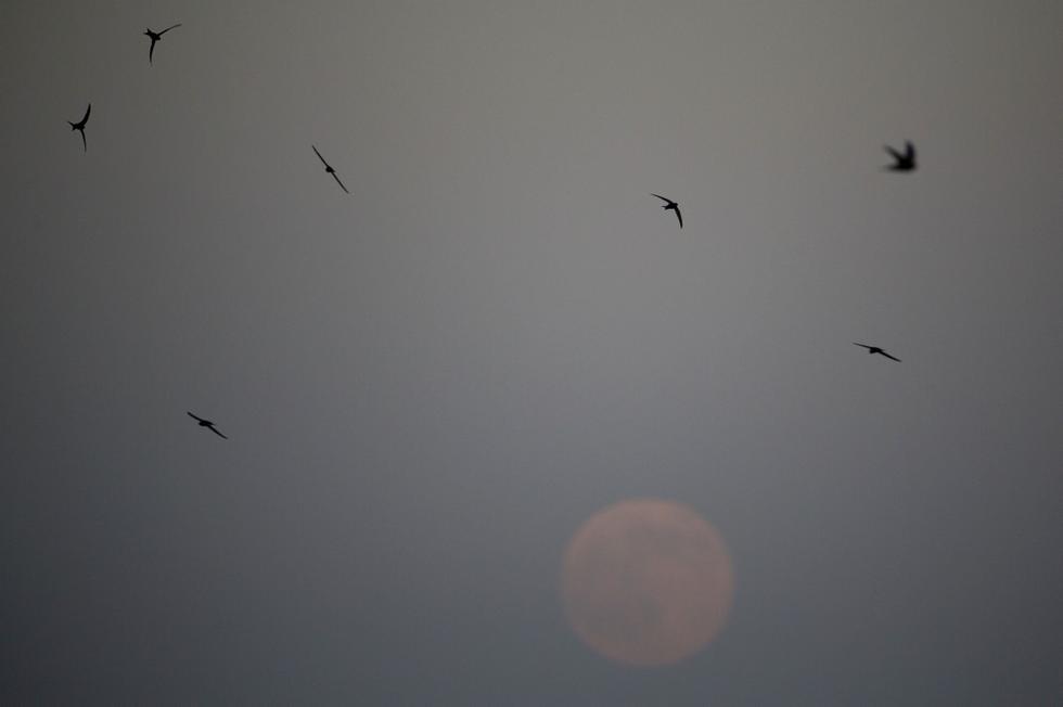 7��12�ճ���������Supermoon���ڰ�������