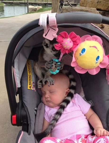 ˹Ұ԰һֻΪԽӤаë