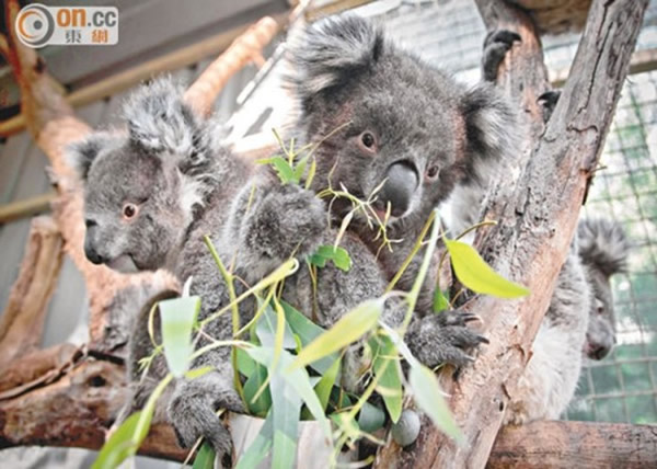 ƴ֯(PETA)άʡȫ60ڿѧо