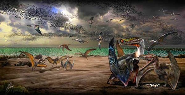 天山哈密翼龙(Hamipterus tianshanensis)复原图