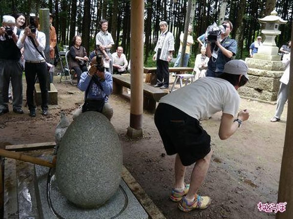 日本国神神社神奇“洗屁石” 相传只要对着这块石头虔诚地摇屁股就可以治疗痔疮