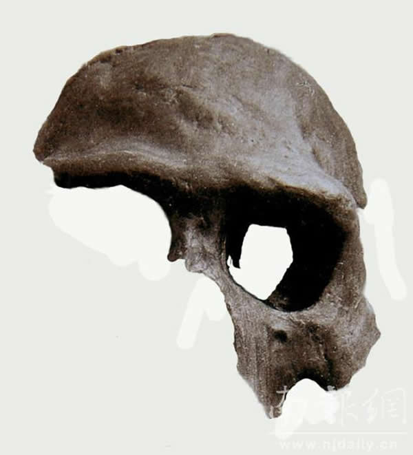 揭秘刑侦专家如何复原30多万年前南京直立人