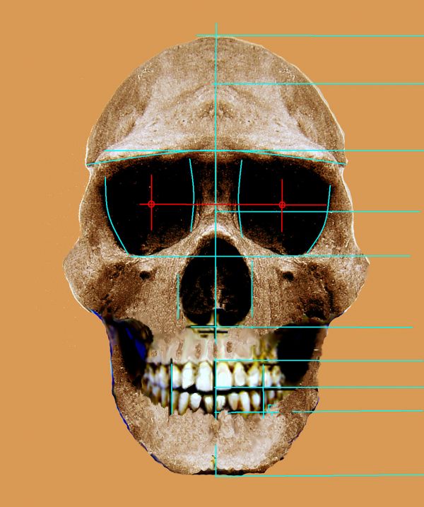头骨复原是关键一步