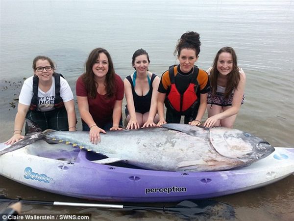 Ӣ�����ֶ�����������ѧŮ����һ������������ǹ�� ��ֵ��700��