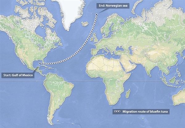 Ӣ�����ֶ�����������ѧŮ����һ������������ǹ�� ��ֵ��700��